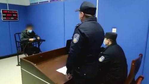 河北警方最新爆料,揭秘重大案件背后惊人内幕